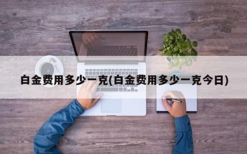 白金费用多少一克(白金费用多少一克今日)